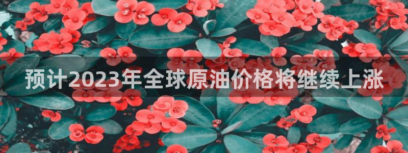 bbin视讯在线预测：预计2023年全球原油价格将继续上涨