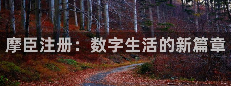 bbin视讯app官网下载苹果：摩臣注册：数字生活的新篇章