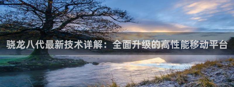 bbin视讯官网下载：骁龙八代最新技术详解：全面升级的高性能移动平台