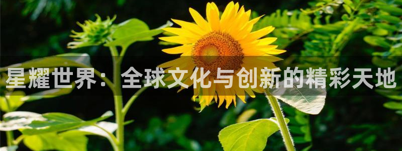 bbin视讯网页版登：星耀世界：全球文化与创新的精彩天地