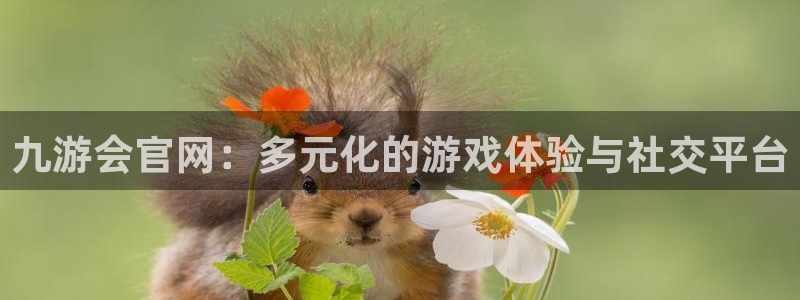 南宫bbin视讯官网版：九游会官网：多元化的游戏体验与社交平台