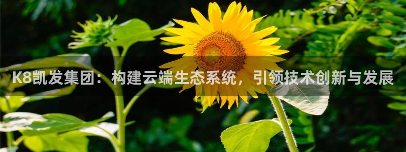 壹号注册入口app下载