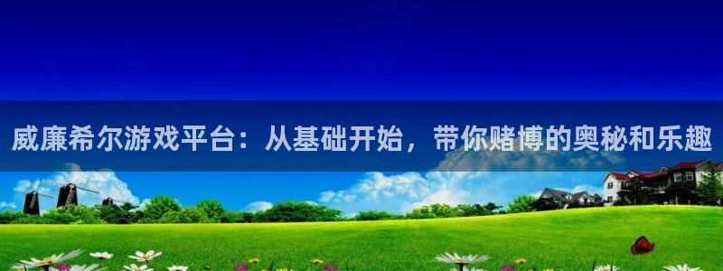bbin视讯退款怎么退