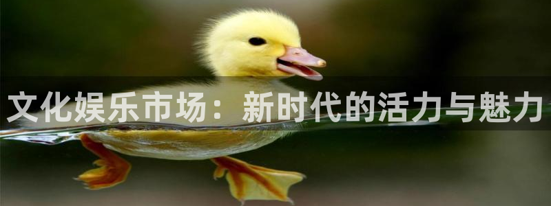 bbin视讯.ccm