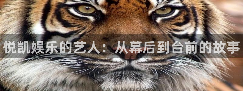 壹号大舞台,有梦你就来