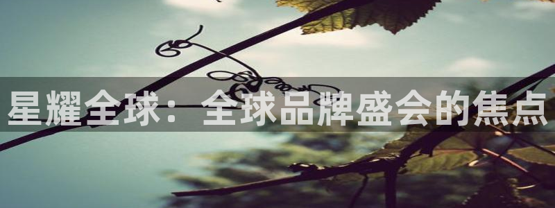 bbin视讯网页版登