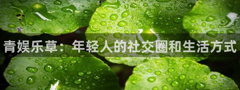 bbin视讯预测在线预测