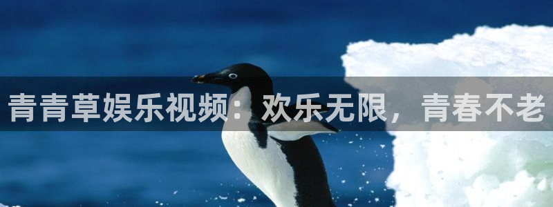 bbin视讯下载
