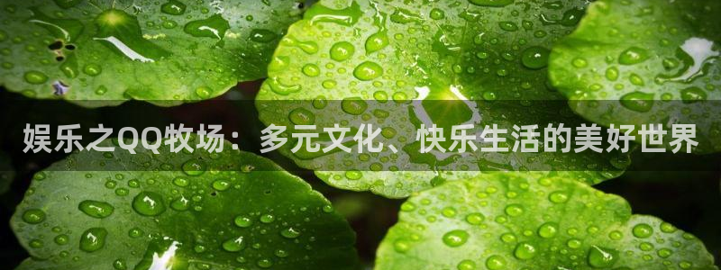 bbin视讯官网