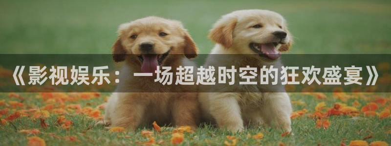 bbin视讯app