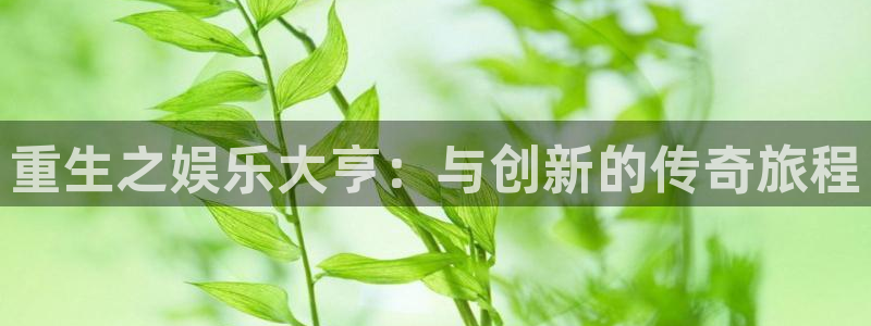 bbin视讯官网