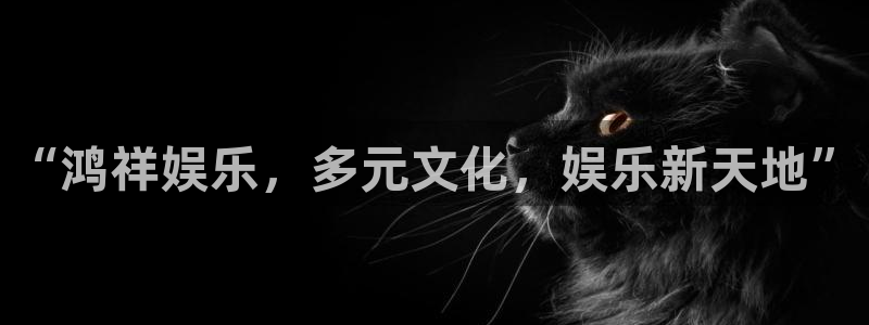 壹号top娱乐