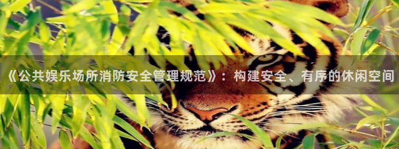 下载bbin视讯
