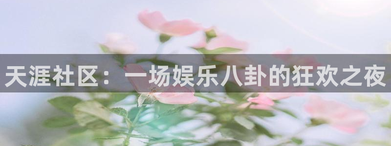 bbin视讯免费注册：天涯社区：一场娱乐八卦的狂欢之夜