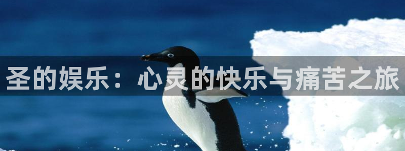 伟德国际集团 壹号(one game)：圣的娱乐：心灵的快乐与痛苦之旅