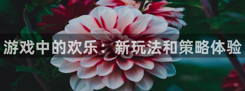 壹号官方app下载安装：游戏中的欢乐：新玩法和策略体验