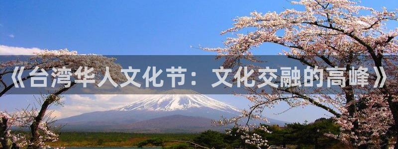 bbin视讯注册官网入口：《台湾华人文化节：文化交融的高峰》