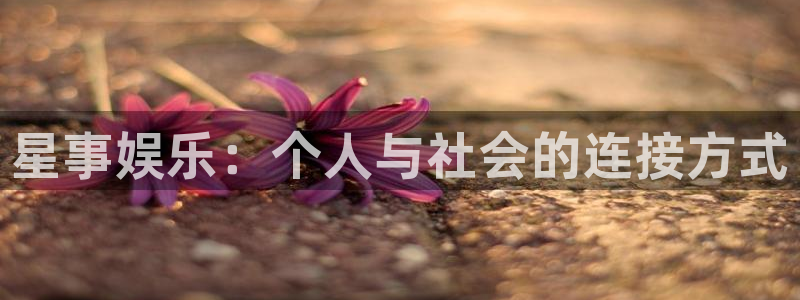 bbin视讯加拿大：星事娱乐：个人与社会的连接方式
