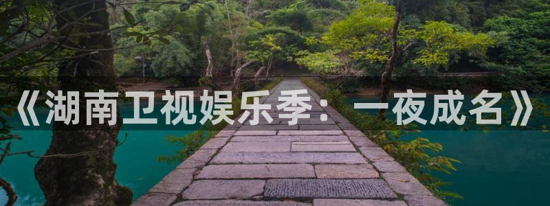 bbin视讯,apk.：《湖南卫视娱乐季：一夜成名》