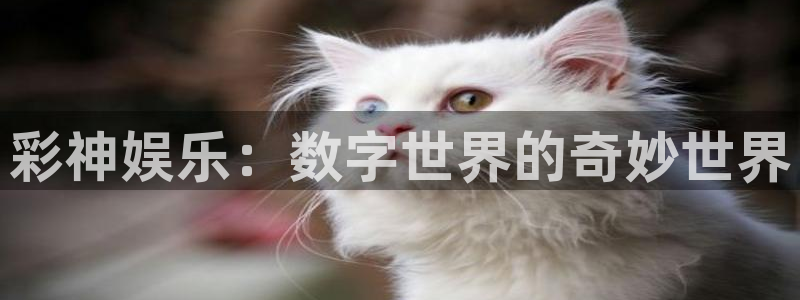 bbin视讯电玩网官网入口：彩神娱乐：数字世界的奇妙世界