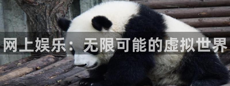 壹号大舞台官网入口：网上娱乐：无限可能的虚拟世界